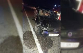 Türkeli’de otomobil büyükbaş hayvanlara çarptı:...