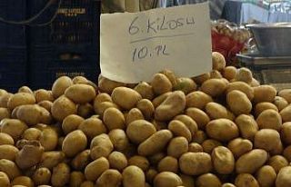 Türkiye’de bu yıl 5 milyon ton patates üretimi...