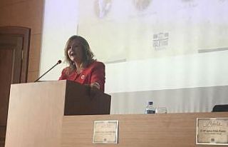 Türkiye’nin ilk kadın kaymakamı, İstanbul Vali...