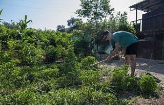 Üniversite öğrencisinin kerpiç eve sığmayan...