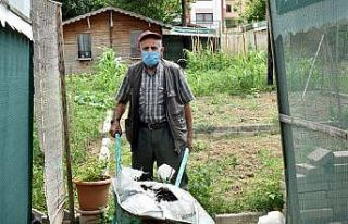 Üretmenin keyfini gönüllü bahçelerinde yaşıyorlar