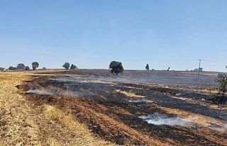 Uşak’ta çıkan yangında 100 hektar alan zarar...
