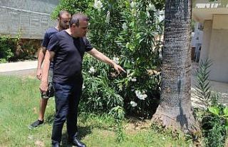 Üst katların manzarasını kapattığı gerekçesiyle...