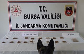 Uyuşturucu satıcısına operasyon