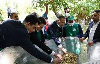 Vali Mahmut Çuhadar’dan Tut ilçesine ziyaret