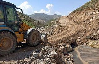 Van Büyükşehir Belediyesinin tarım seferberliği...
