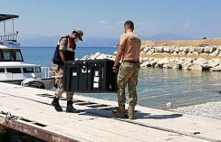 Van Gölü’nde batan teknede çalışmalar yeniden...