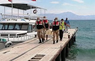 Van Gölü’nde çıkarılan ceset sayısı 32’ye...
