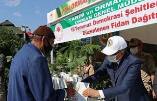 Van’da 15 Temmuz anısına fidan dağıtıldı