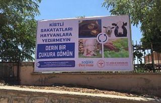 Vatandaşlara kistli sakatat uyarısı yapıldı