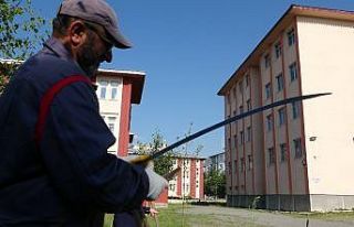 Yabani otlar okul müdürü tarafından tırpanla...