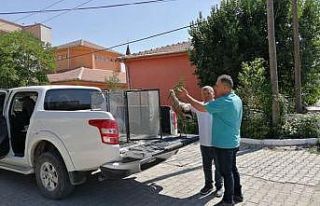 Yağ katmanı ve çamura batan leylek kurtarıldı