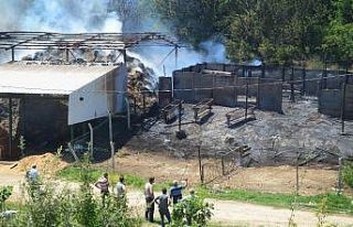 Yanan çiftliği böyle izlediler