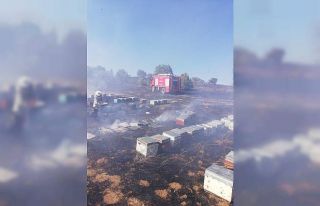 Yangında 830 adet kovan kül oldu