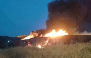 Yangından etkilenen muhabbet kuşlarını itfaiye...