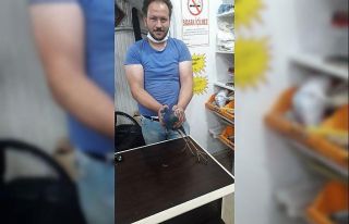 Yaralı saz horozu tedavi altına alındı