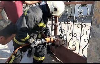 Yaramaz köpeğin imdadına yetiştiler