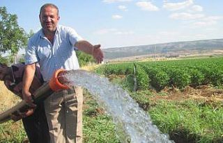 Yarım asır sonra suya kavuştular