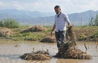 Yaşanan selden dolayı 3 bin bağ ot zarar gördü