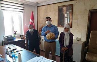 Yaşlı çiftten kaymakama patates hediyesi