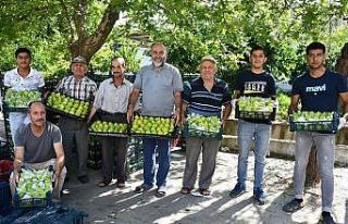 Yediveren incirinin ’Turgutlu inciri’ olarak tescillenmesini...