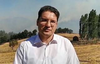 Yenice Kaymakamı Musa Göktaş: “Köye yakın bölgede...