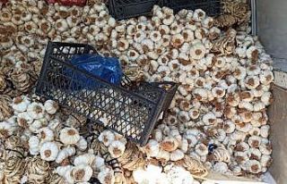 Yerli sarımsak çıktı, kilosu 60 liradan 15 liraya...