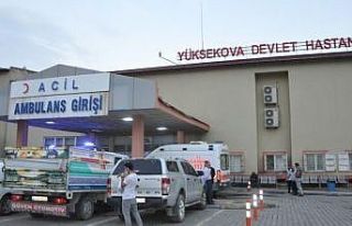 Yüksekova’da husumetli iki aile arasında kavga:...