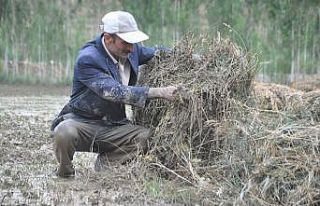 Yüksekova’da sel felaketi: 10 bin bağ ot ve bahçeler...