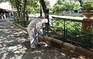 Zararlı haşereler Tepebaşı’nda ilaçlanıyor