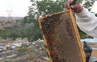 10 çeşit bitkiden elde edilen her derde deva balın...