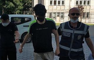 12 yaşındaki kız çocuğuna cinsel istismara 2...