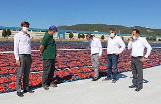 “1 milyar dolar ihracat hedefine üreticilerimizle...