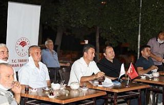50 bin dekar alanda 1 milyon ceviz fidanı toprakla...