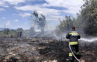5 dönümlük ormanlık alanda çıkan yangın söndürüldü