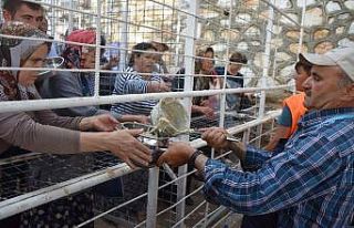 738 yıllık Dedebağ Keşkek Hayrı korona engeline...