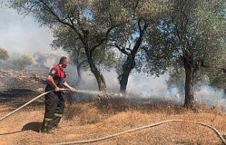 8 helikopter 1 uçak yangına müdahale ediyor