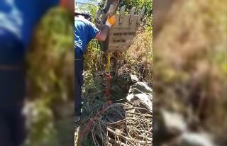 9 metrelik kuyuya düşen inek, AFAD ekiplerince kurtarıldı