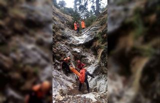 Adaçayı toplamak için gittiği dağlık alandan...