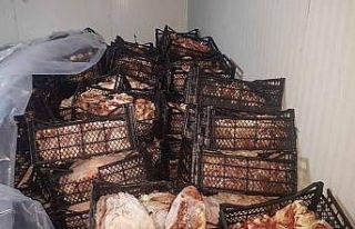 Adana’da 40 ton kaçak et ele geçirildi