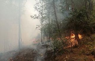 Adana’da çıkan orman yangınında 3 kişi gözaltına...