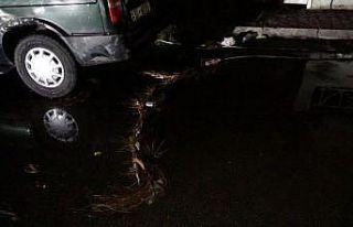 Adana’da fırtınada elektrik telleri koptu, ağaç...