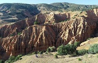 Adı ürkütse de görüntüsü hayran bırakıyor