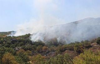 Adıyaman’da korkutan orman yangını