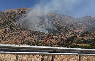Adıyaman’da ormanlık alanda korkutan yangın
