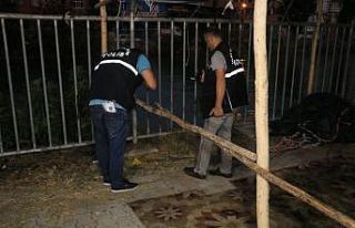 Ağabey ve kardeşi birbirlerini bıçakladı