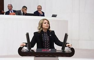 AK Parti’li vekilden CHP’li vekile havaalanı...