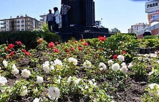 Aksaray’da caddeler çiçeklerle süslendi