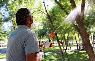Aksaray’da haşere ile mücadelesi devam ediyor