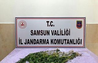 Alaçam’da uyuşturucuya geçit yok